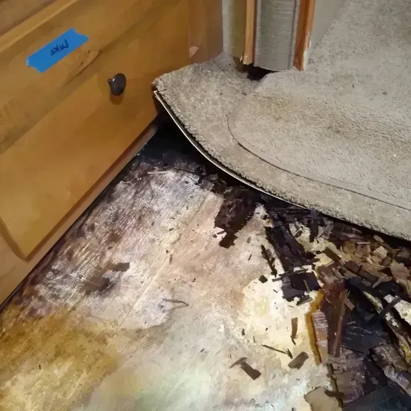 Wood Floor Water Damage in Greenville, SC